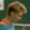 Filip Pieczonka