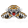 Lugano Tigers