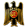 Union Espanola